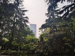 -望江楼公园