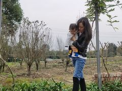 -洪湖家庭农场·团建·露营·会议