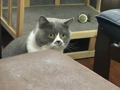 -不作·手工银饰DIY(西红门店)