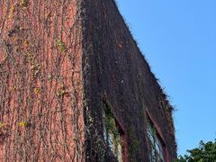 -海峡创意产业园