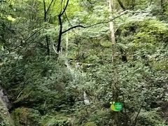 -水磨沟环境自然保护区