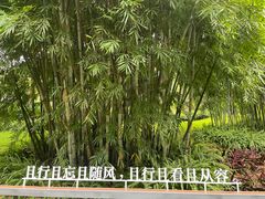 -云溪植物园