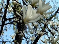 -唐城墙遗址公园