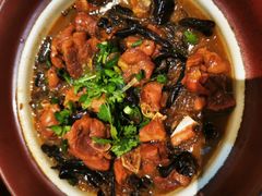 -金掌勺·锅包肉(广渠门店)