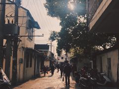 -沈记青团