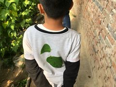 -万源龙顺度假庄园生态观光园