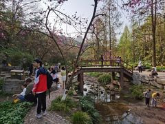 -重庆彩云湖湿地公园