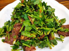 香菜拌牛肉-亿香院土菜馆(东岳街店)