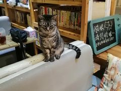 -小时光咖啡馆(开森度假森林店)