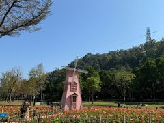 -顺峰山公园