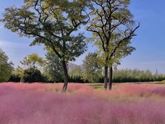 -汉长安城未央宫国家考古遗址公园