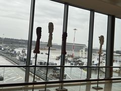 -米兰-马尔彭萨机场