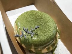 抹茶梳芙厘-狐狸和向日葵(北京路店)