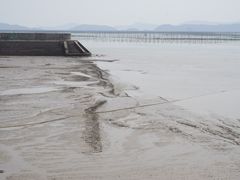 -北岐滩涂