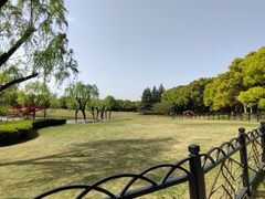 -黄兴公园