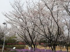 -白塘生态植物园