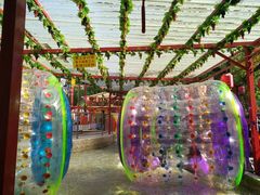 游乐设施-沈阳南湖公园