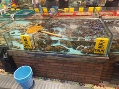 水产区-九號渔港·蒸汽海鲜·粤菜茶点(八卦岭店)