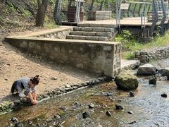 -白水寺森林公园