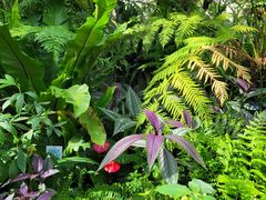 -国家植物园南园