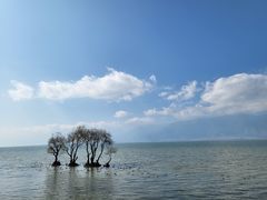 -大理洱海