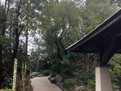 -天目湖涵田半山温泉