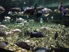 -成都浩海立方海洋公园