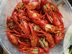 白灼龙虾-鲁小三·大骨自助(金山总店)