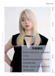 -YESIDO椰岛造型