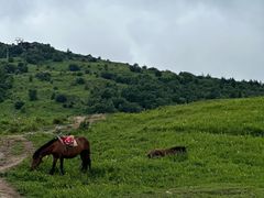 -灵山