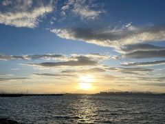 -深圳湾公园(南山区)