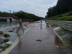 -宝安西湾红树林湿地公园