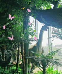 -恐龙探索乐园(磁器口店)