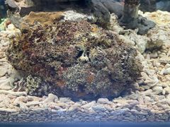 -太平洋海底世界