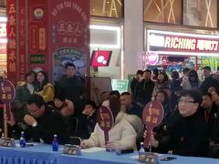 -皇家茱莉亚艺术明星训练基地