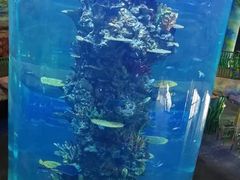 -青岛嘉年华主题乐园