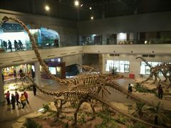 -自贡恐龙博物馆