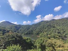 -鼎湖山风景区
