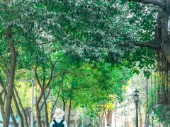 -广东外语外贸大学(白云山校区)