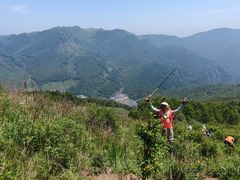 -灵山
