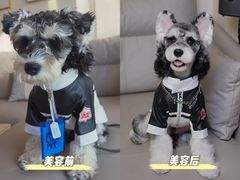 -FAELING PETS美天灵宠物(合生汇店)