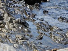 -大连金石滩滨海国家地质公园