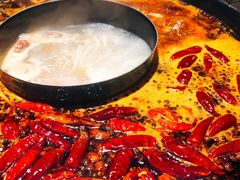 -重庆渝达老火锅(春熙路店)