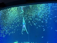 -合肥海洋世界