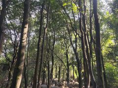 -火炉山森林公园