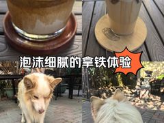 -豆舞咖啡(民乐路店)