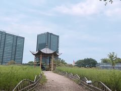 -杭州城北体育公园