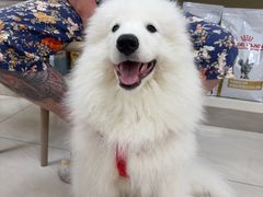 -美联众合动物医院·24h京西诊疗中心