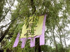 -微山湖红荷湿地景区