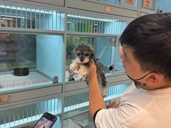 -FAELING PETS美天灵宠物(合生汇店)